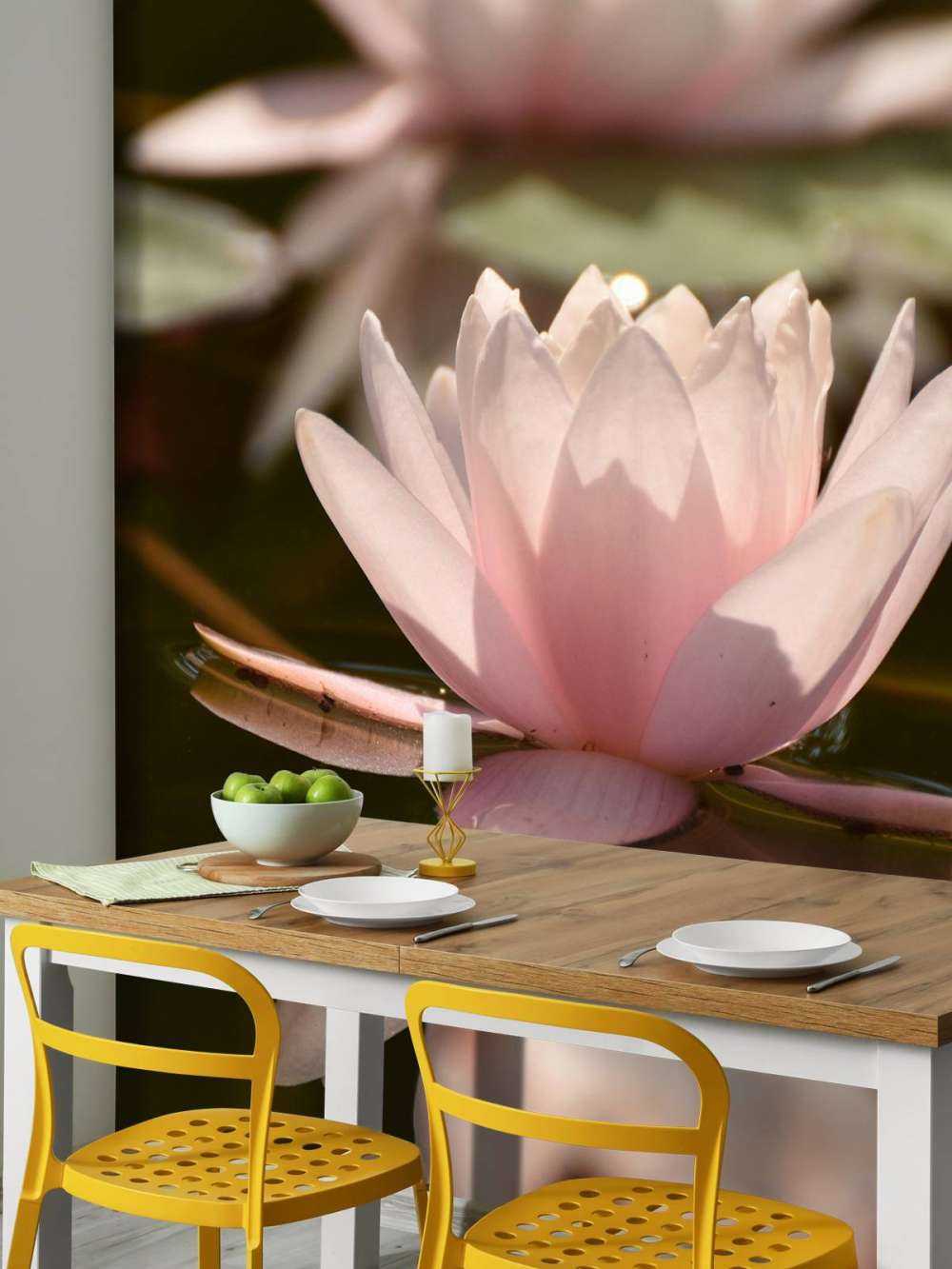 Kwiat lotosu w wodzie