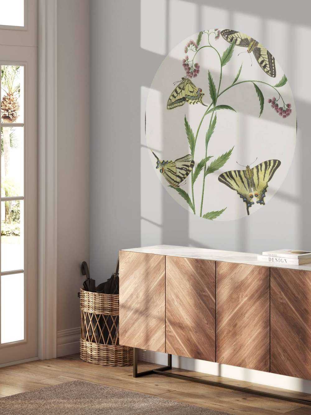 Cztery motyle na kwiatach, Paulus Knogh