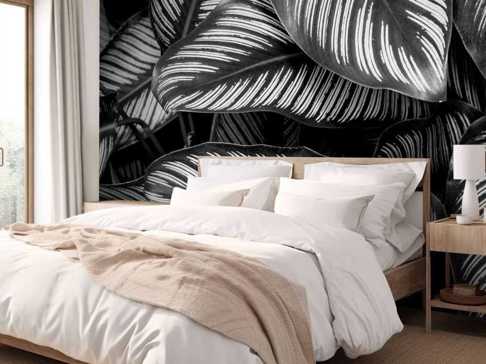 Liście palmy czarno-białej