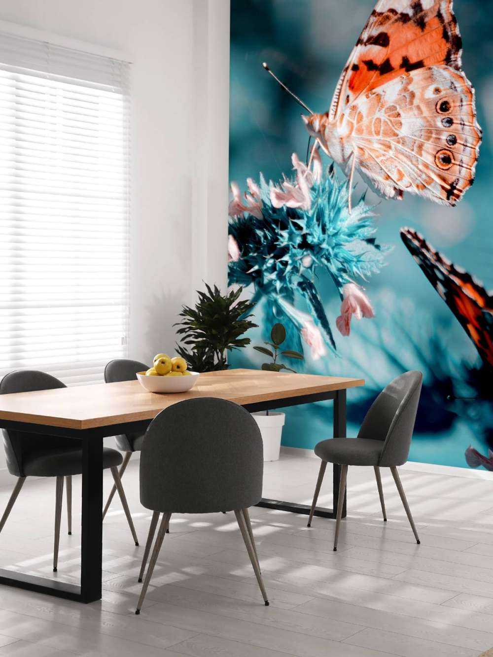 Motylki pomarańczowe