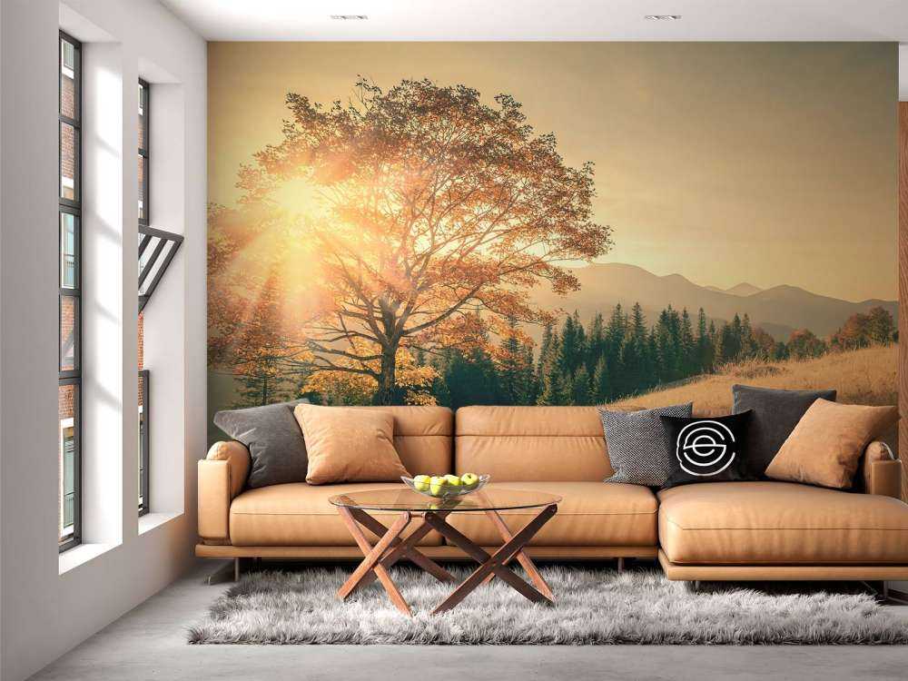 Zachód słońca w dolinie