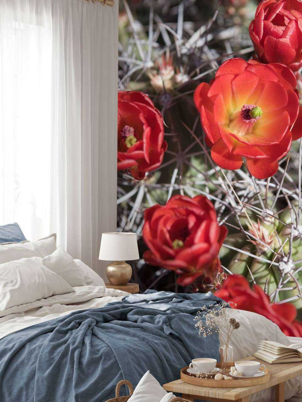 Czerwone kwiaty kaktusa