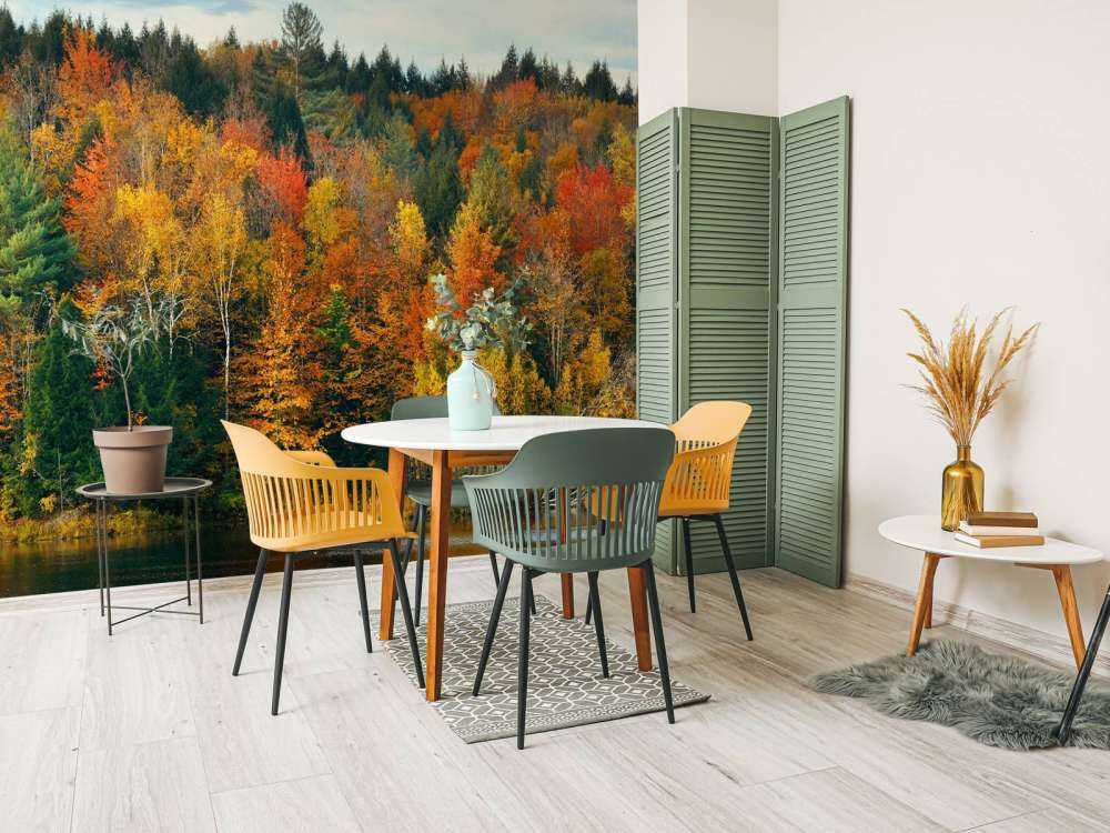 Jezioro z jesiennymi drzewami