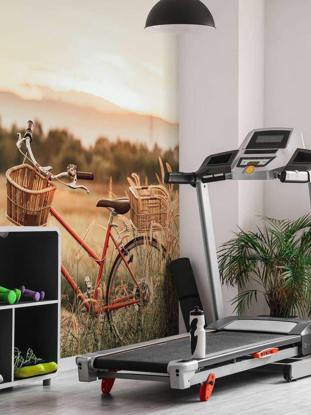 Rower zabytkowy w lecie