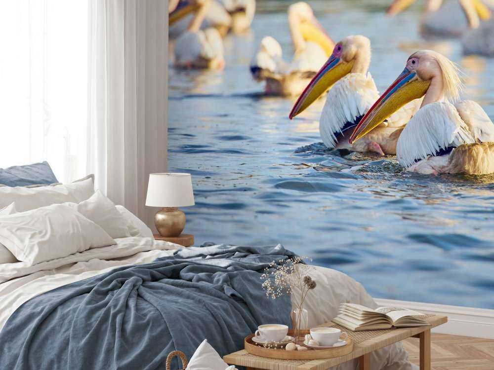 Pelikany na wolności