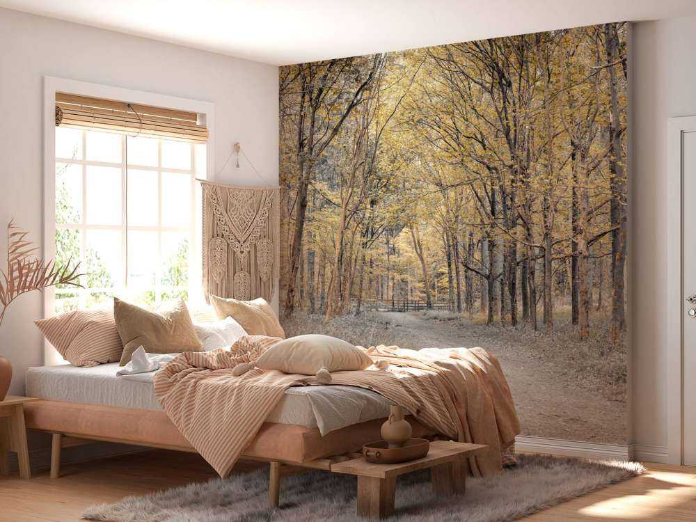 Leśna droga w okresie jesiennym