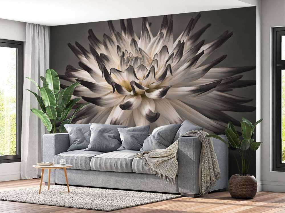 Kwiat dalii czarno-biały