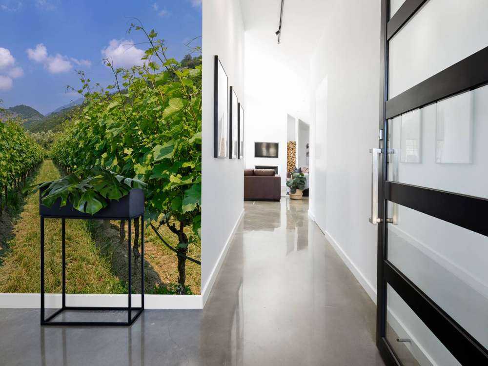 Winnica we Włoszech