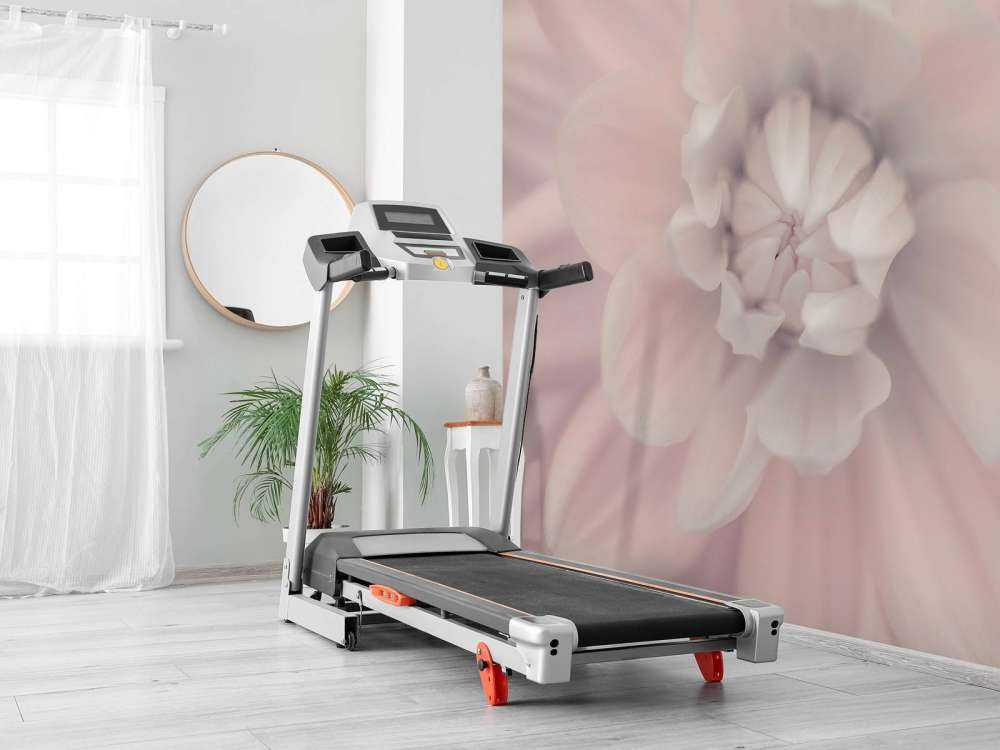 Różowy kwiat dalii