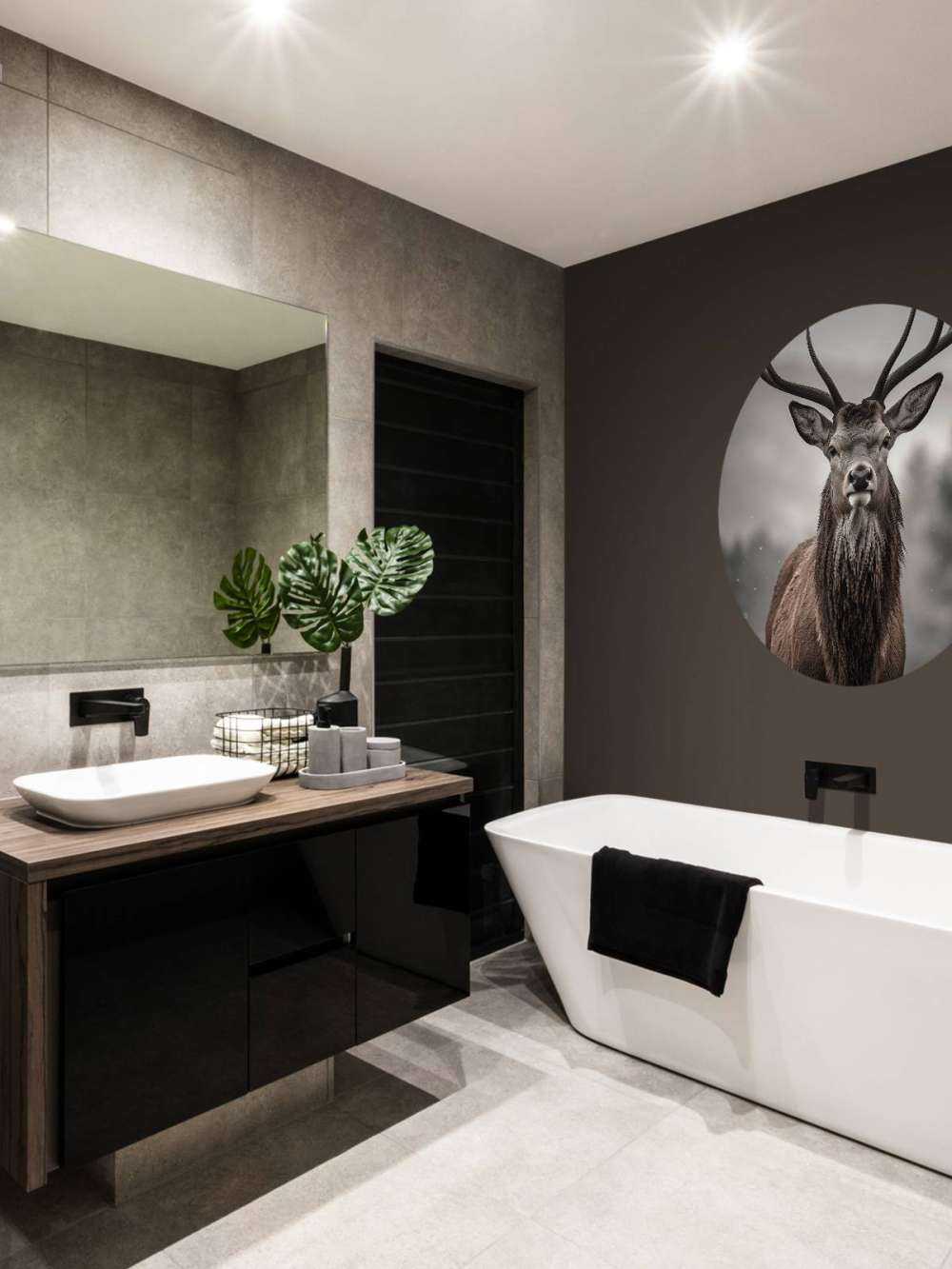 Spojrzenie zimowego króla jeleni