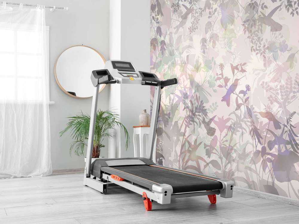 Symfonia Ogrodowa w Fioletach