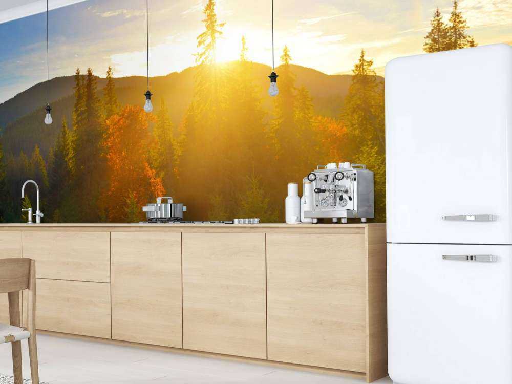 Panorama lasu sosnowego