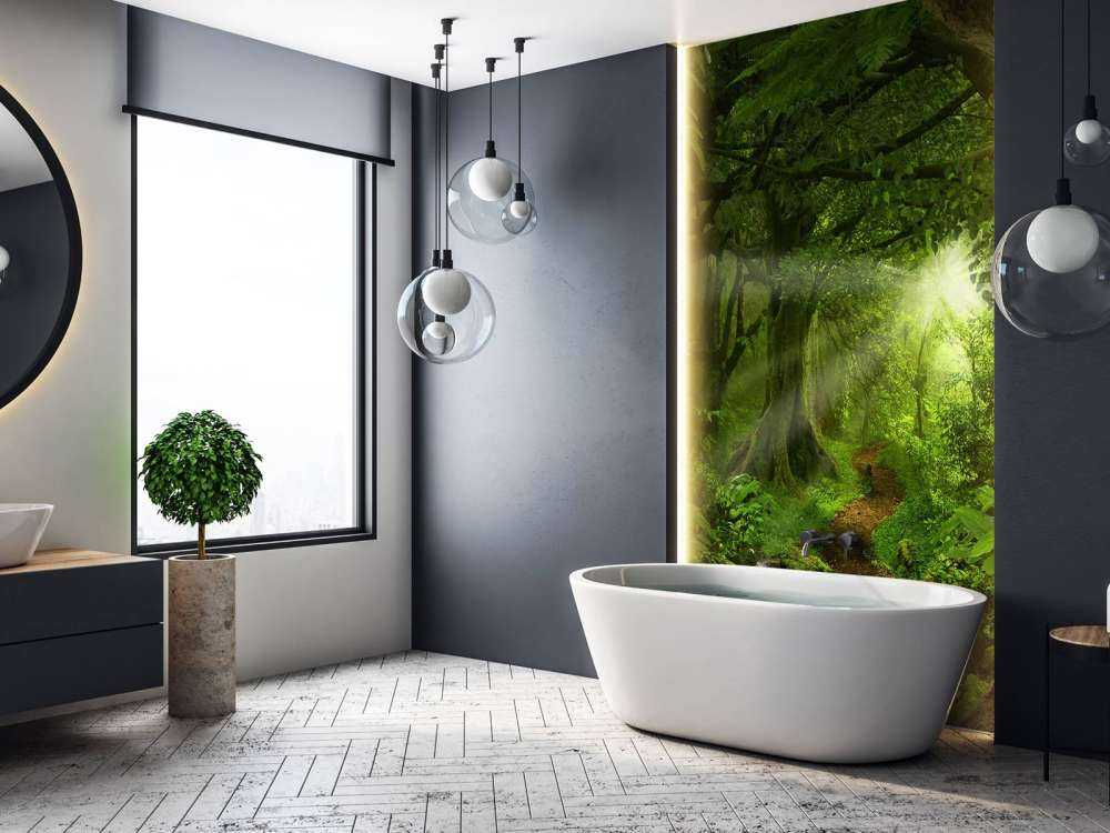 Tropikalna dżungla w świetle słońca