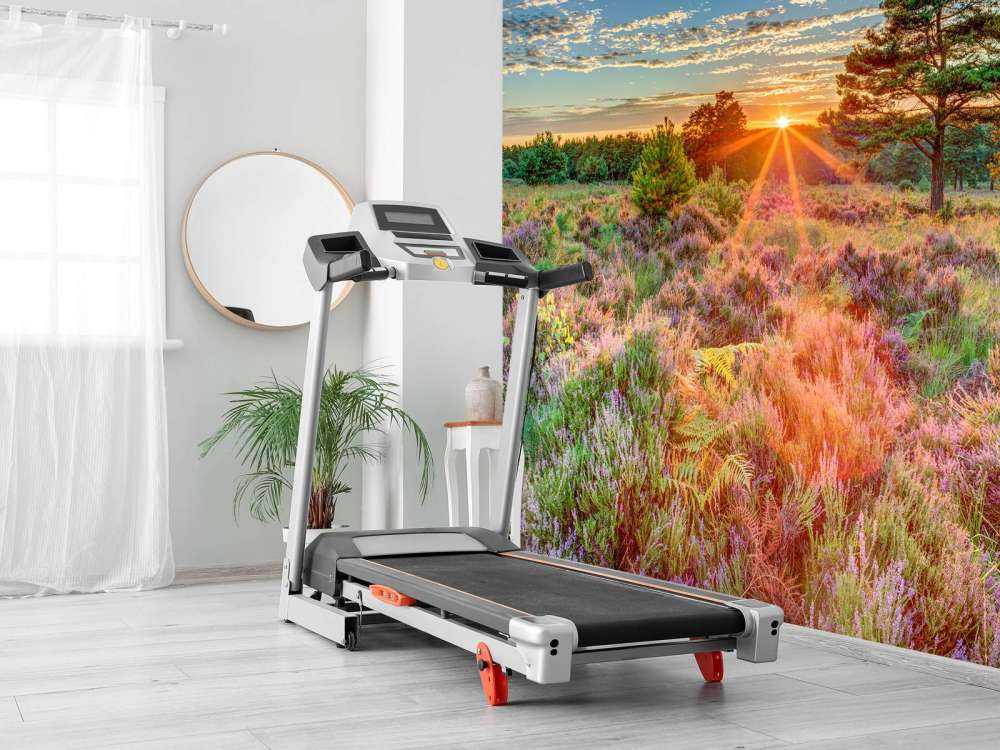 Zachód słońca na wsi