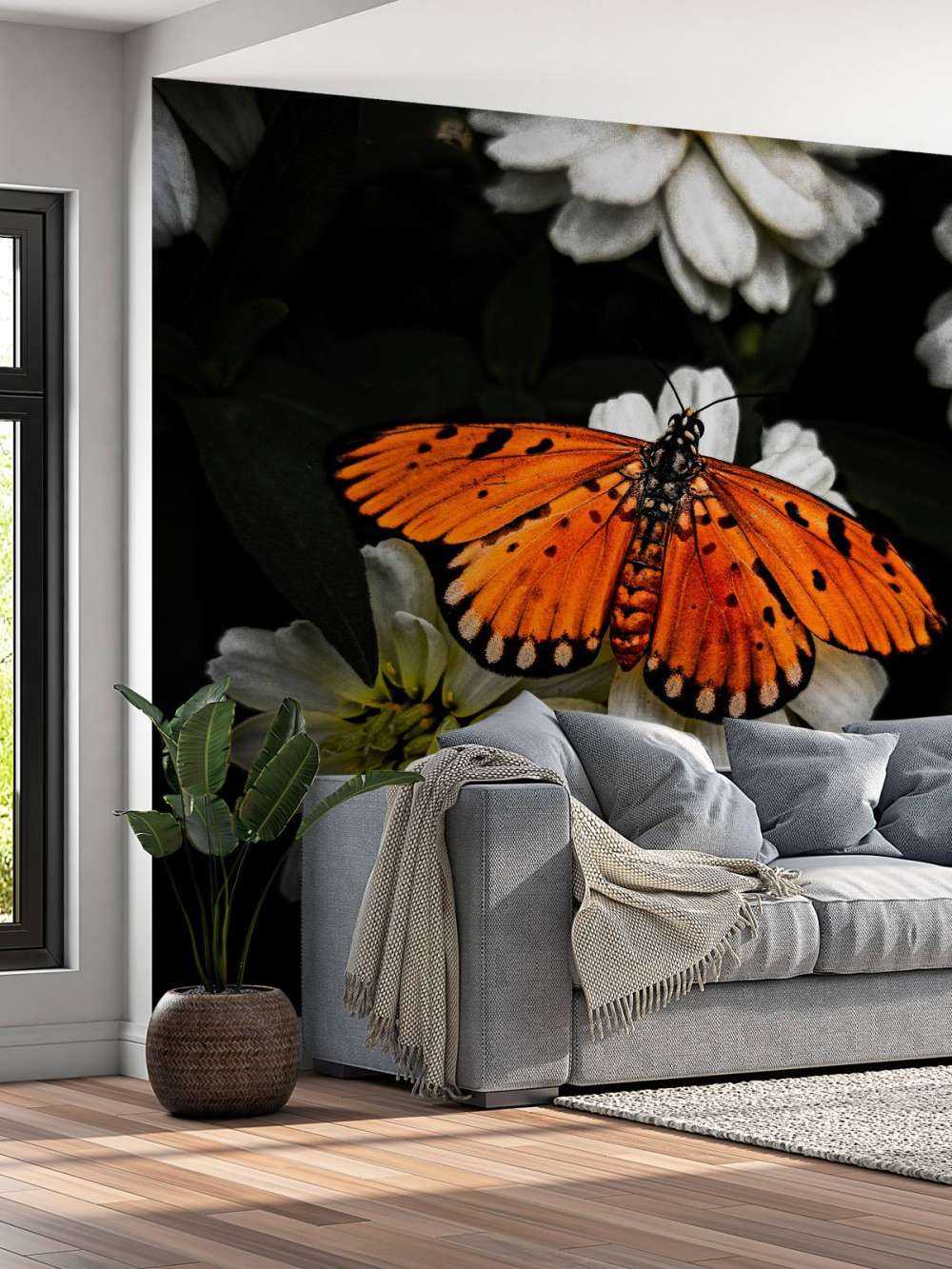 Motyl monarchy na kwiecie