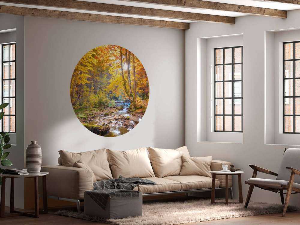 Jesień w dzikim lesie