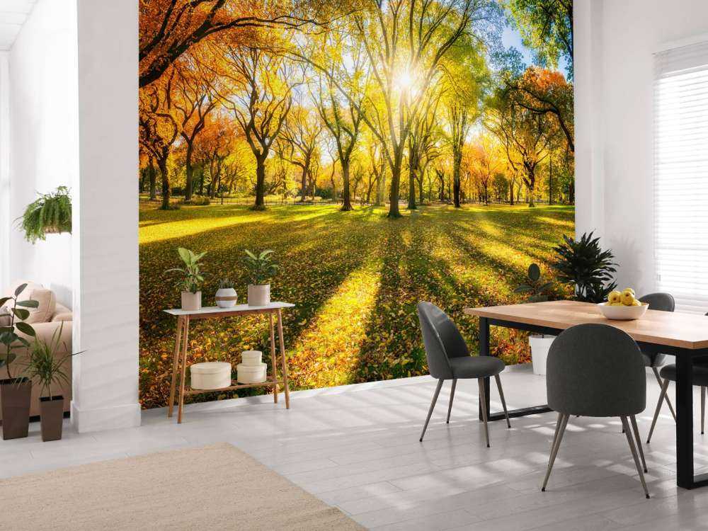 Kolorowy jesienny las