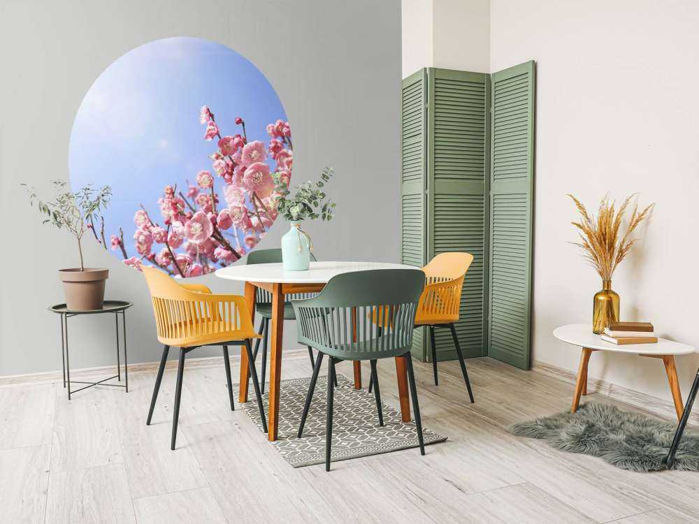 Kwiaty na tle błękitnego nieba