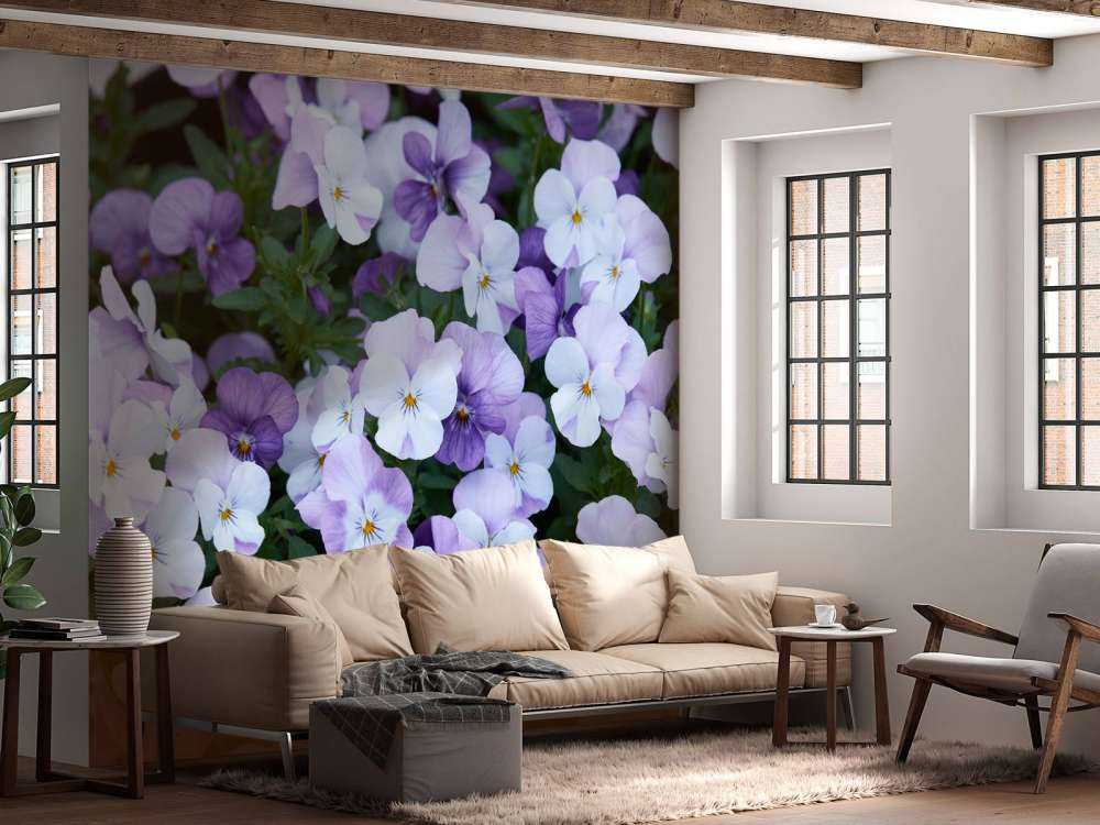 Fioletowobiałe skrzypce