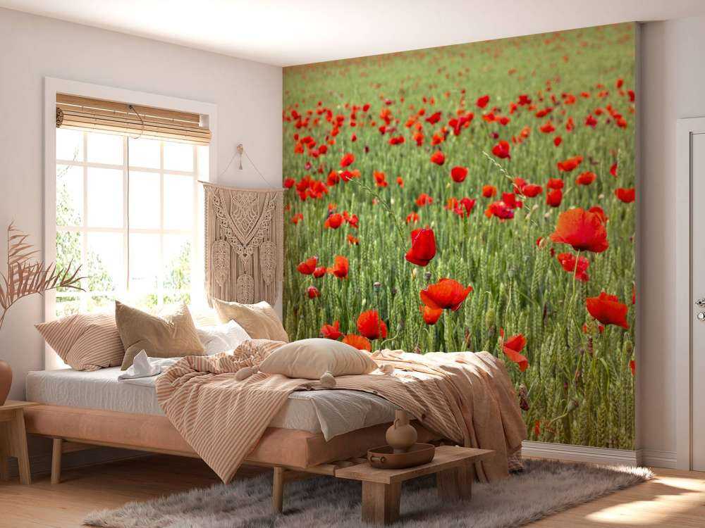 Pole czerwonych maków