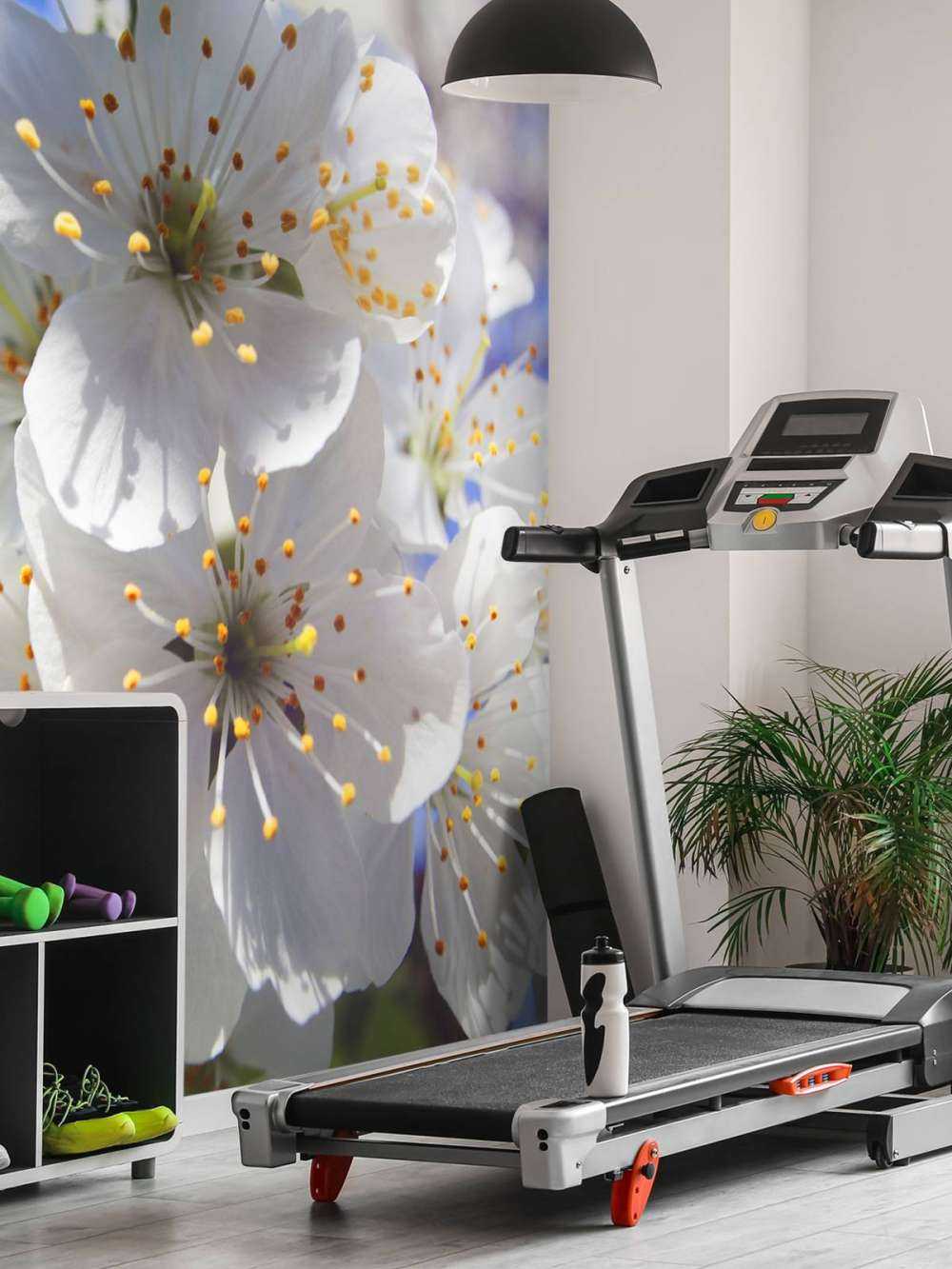 Zbliżenie na białe kwiaty