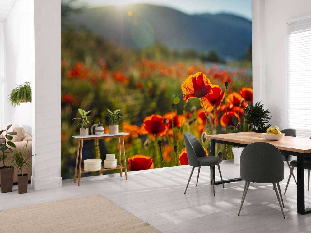 Maki z promieniami słońca