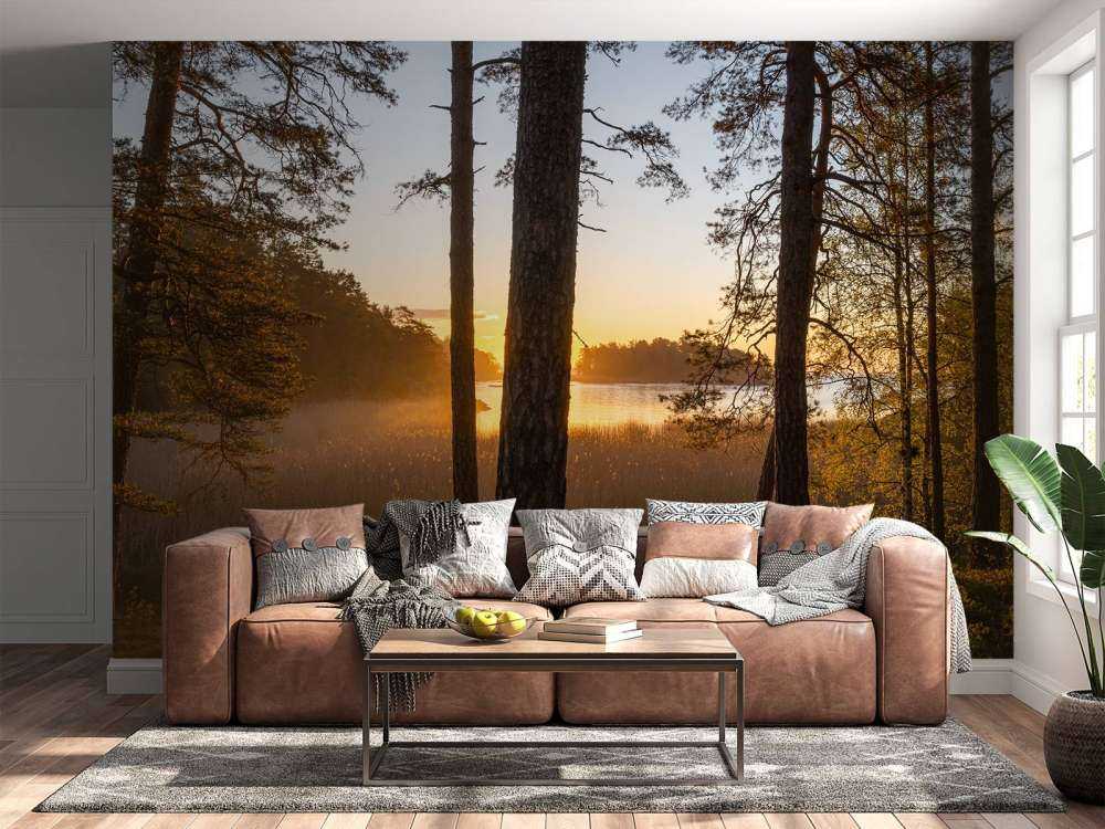 Las o zachodzie słońca