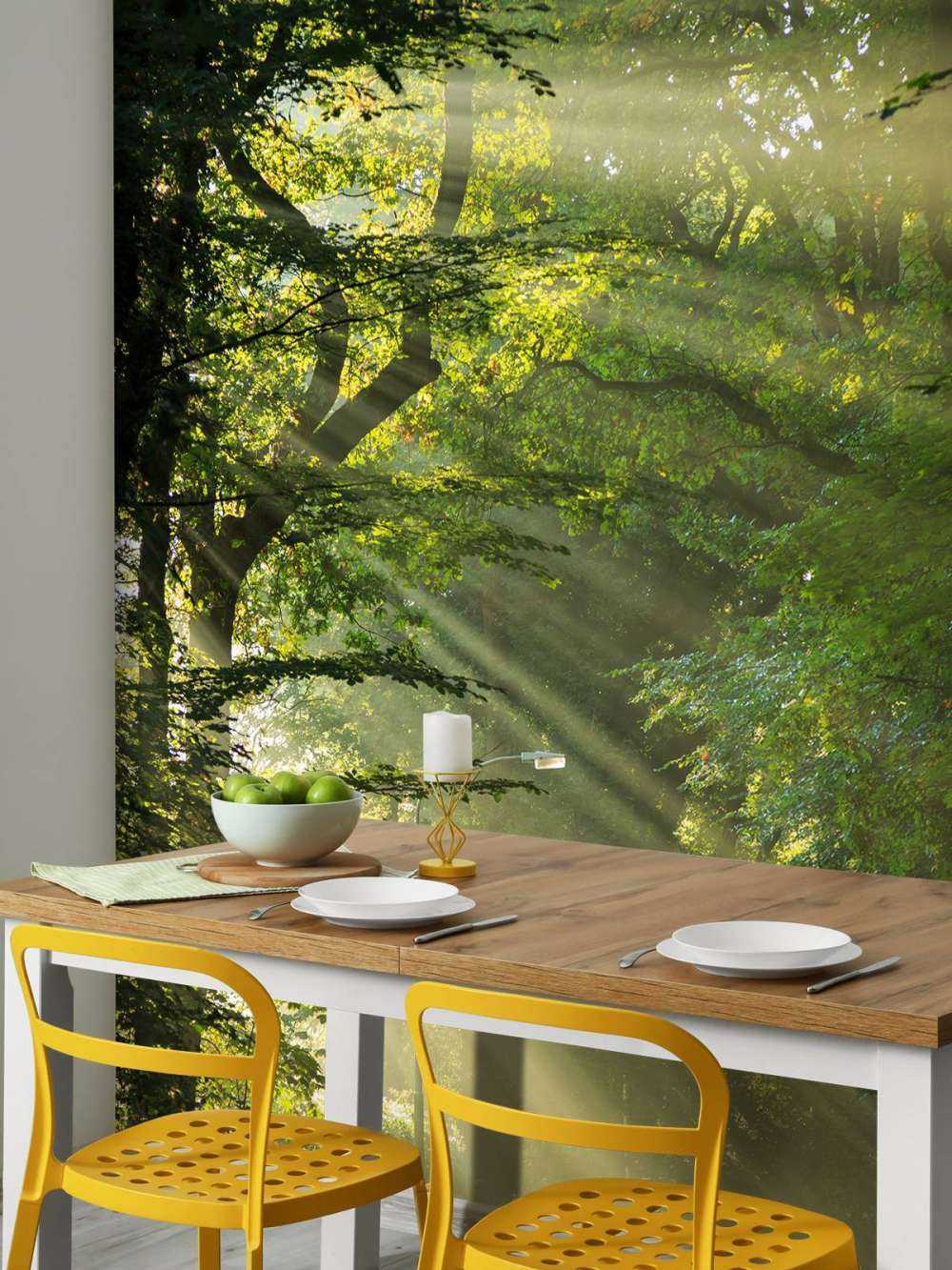 Promienie słońca przez drzewa