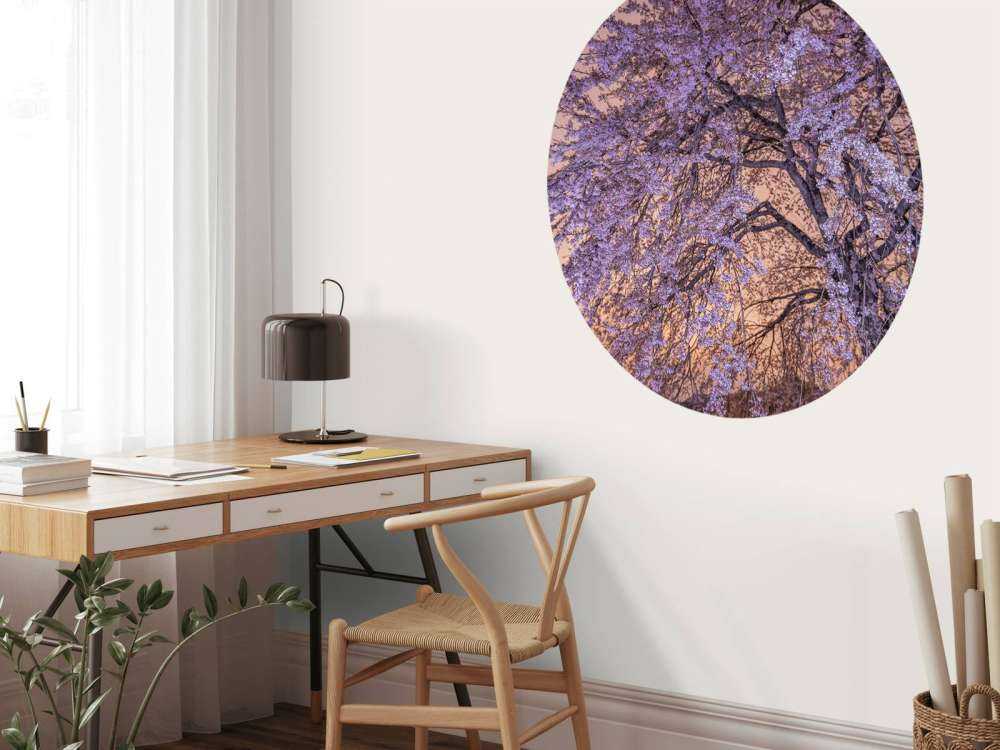 Kwiaty o zachodzie słońca