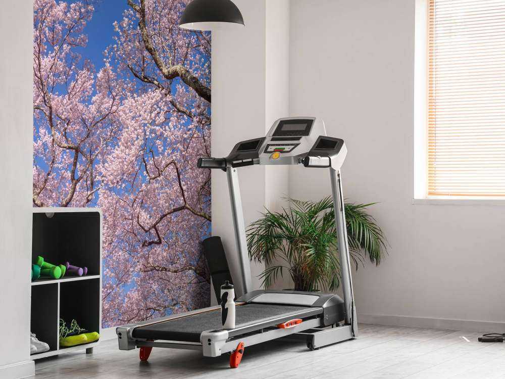 Kwiaty na tle błękitnego nieba