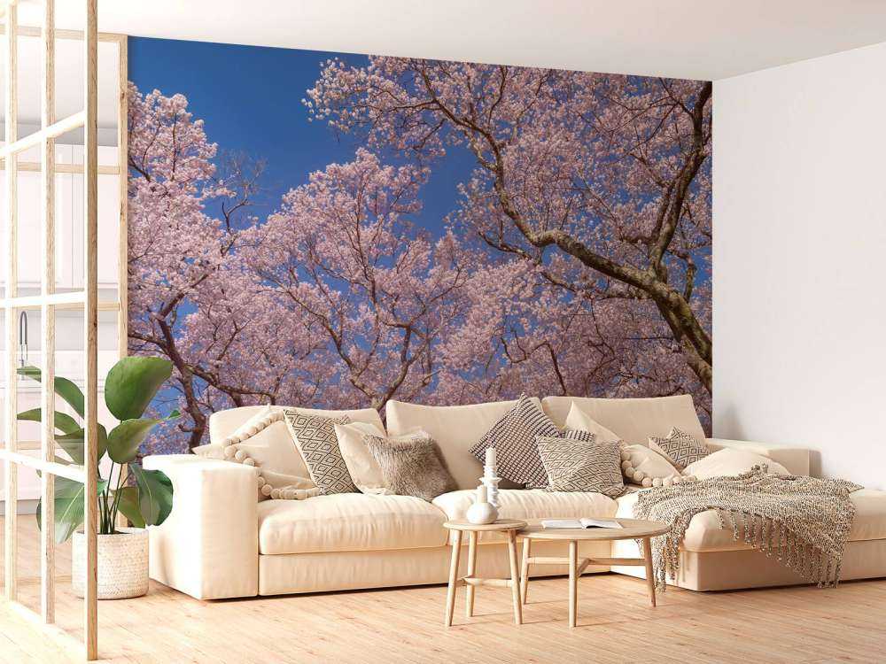 Kwiaty na tle błękitnego nieba