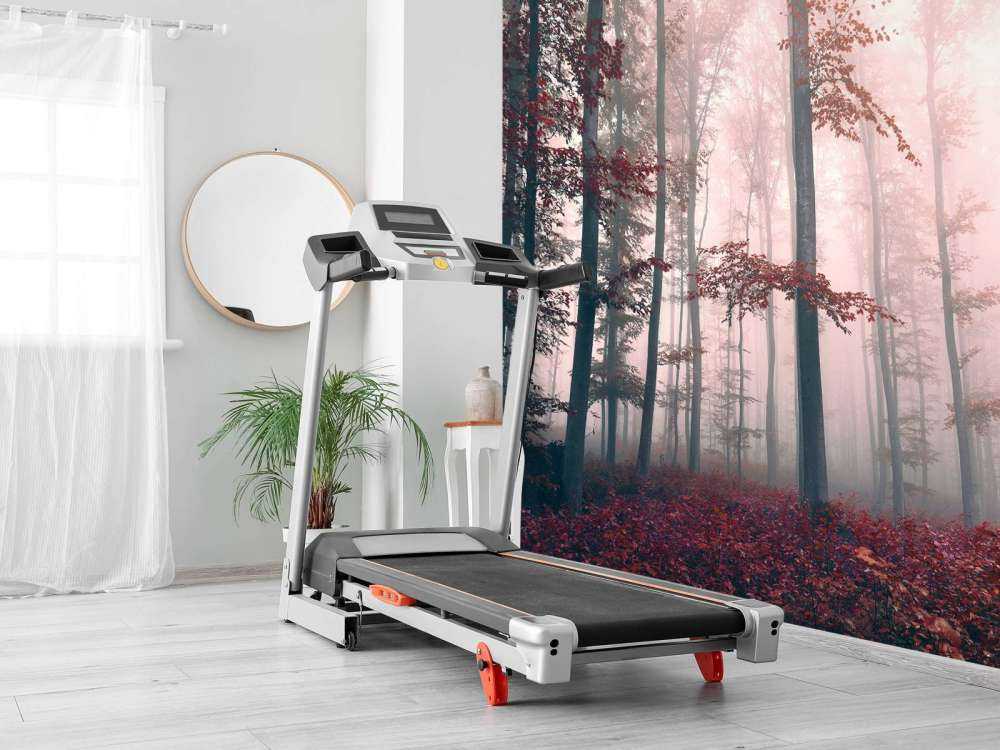 Krajobraz czerwonego lasu