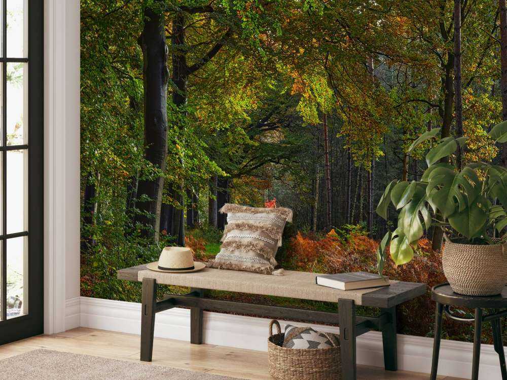 Ścieżka z liśćmi przez las