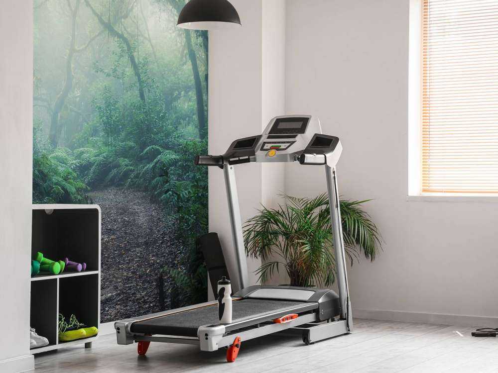 Zielony, mglisty las