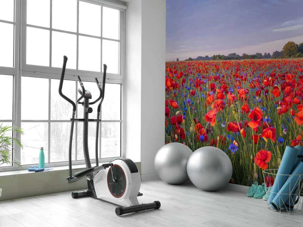 Niebieskie kwiaty i czerwone maki