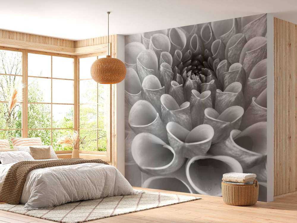 Zbliżenie na dalię