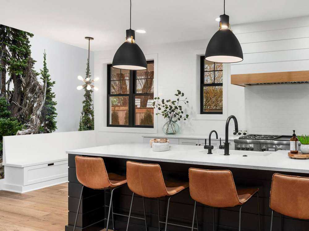 Drzewa i stare drzewa 