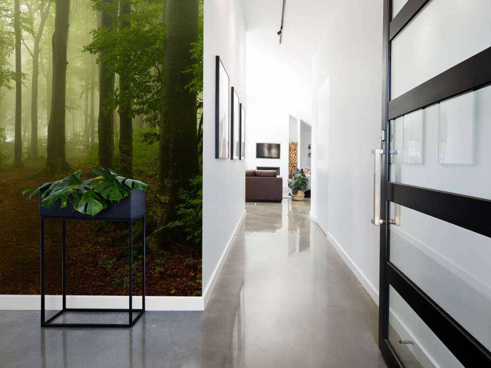 Ścieżka przez mglisty, zielony las