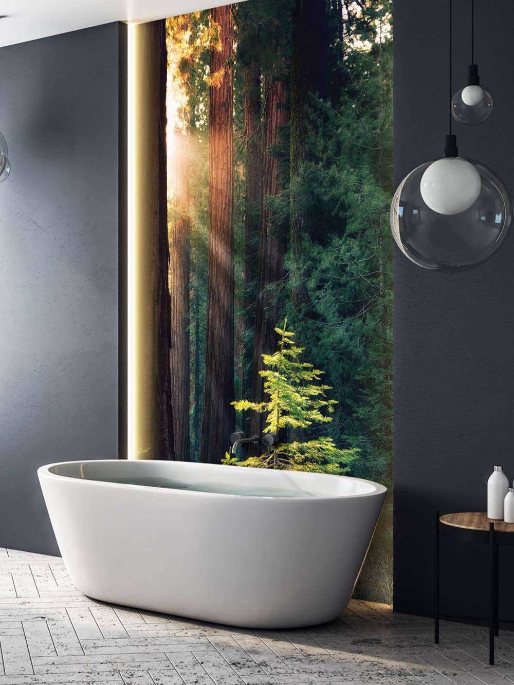 Światło słoneczne między drzewami mahoniowymi