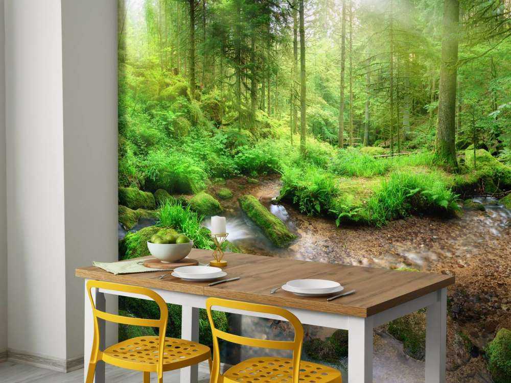 Urokliwy krajobraz leśny