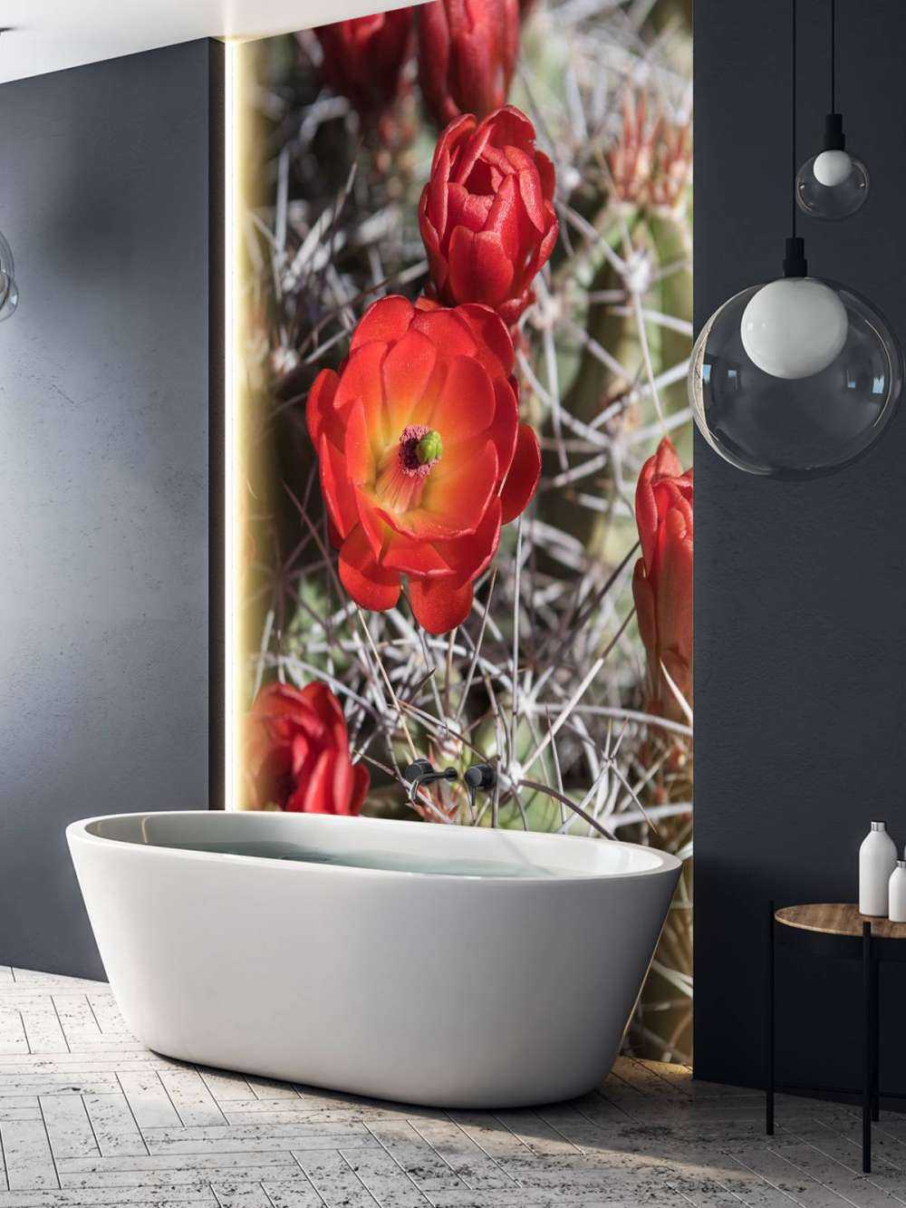 Czerwone kwiaty kaktusa