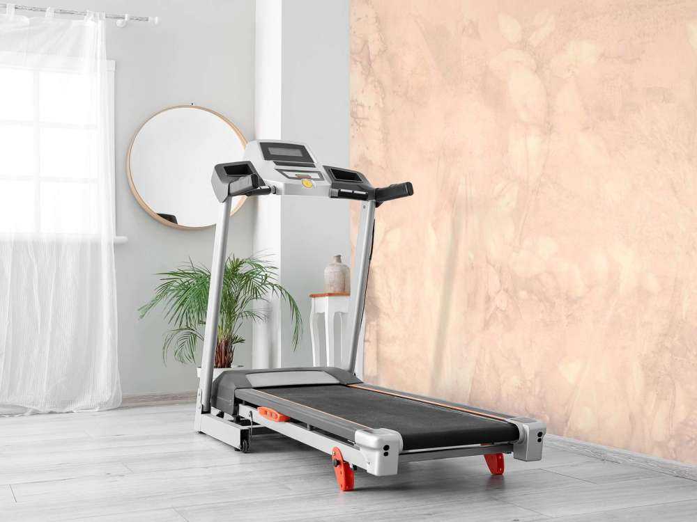 Dzikie jeżyny i babka - świat marzeń w fiolecie