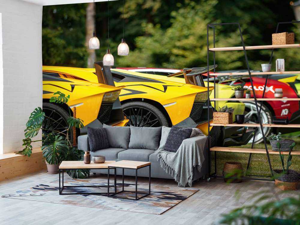 Kolekcja superaut w naturze