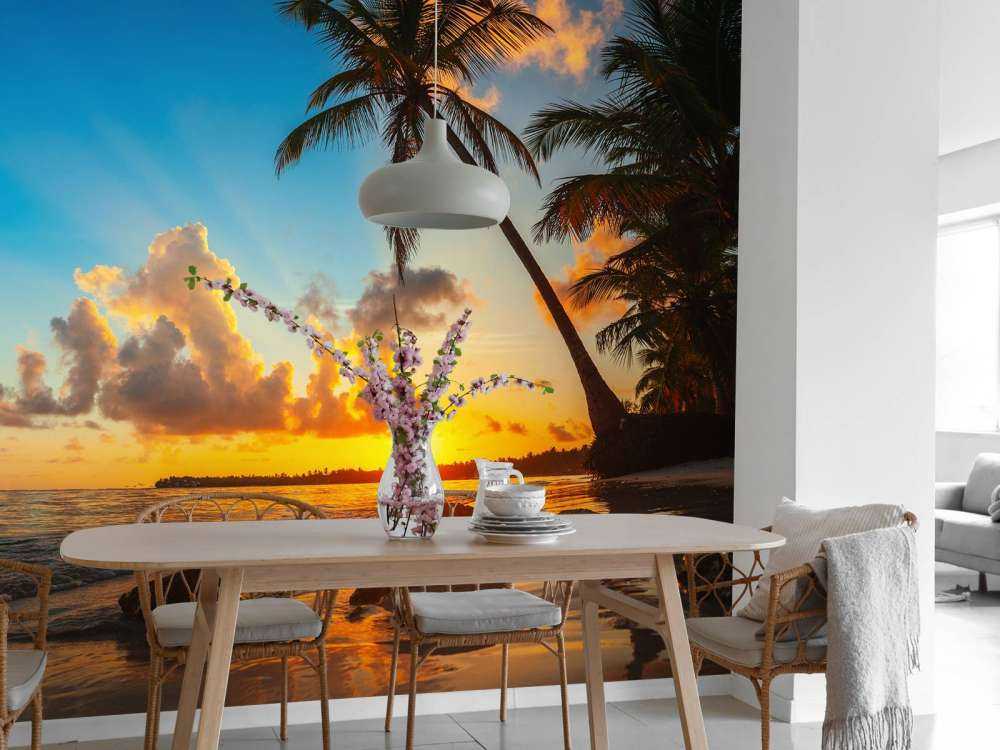 Zachód słońca z palmami