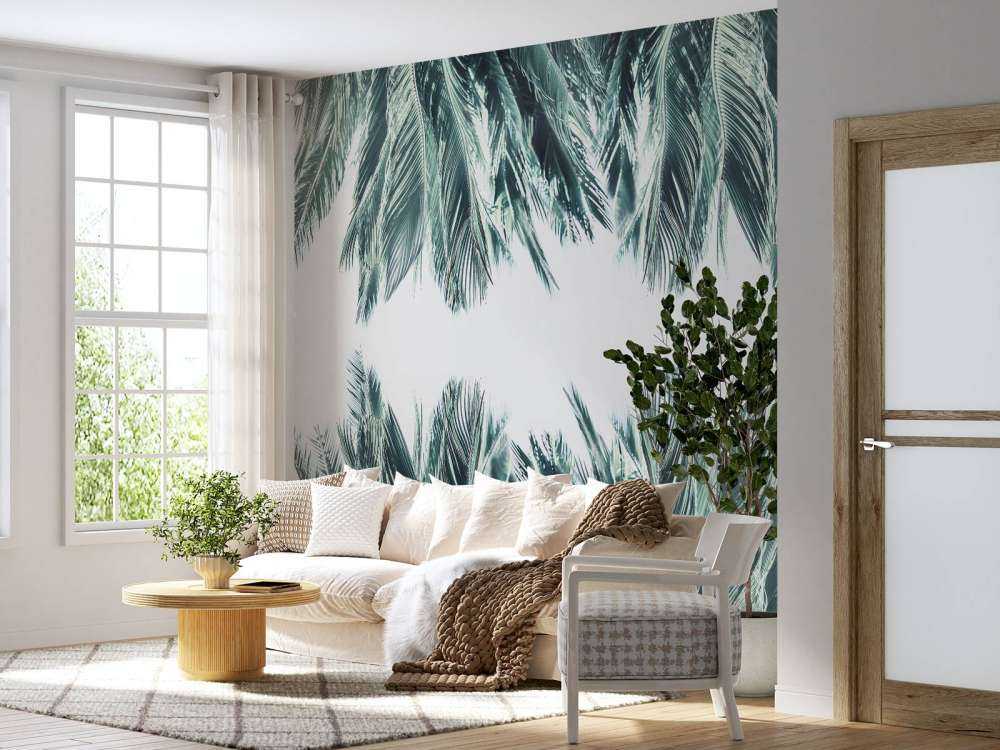 Liście palmowe na białym tle