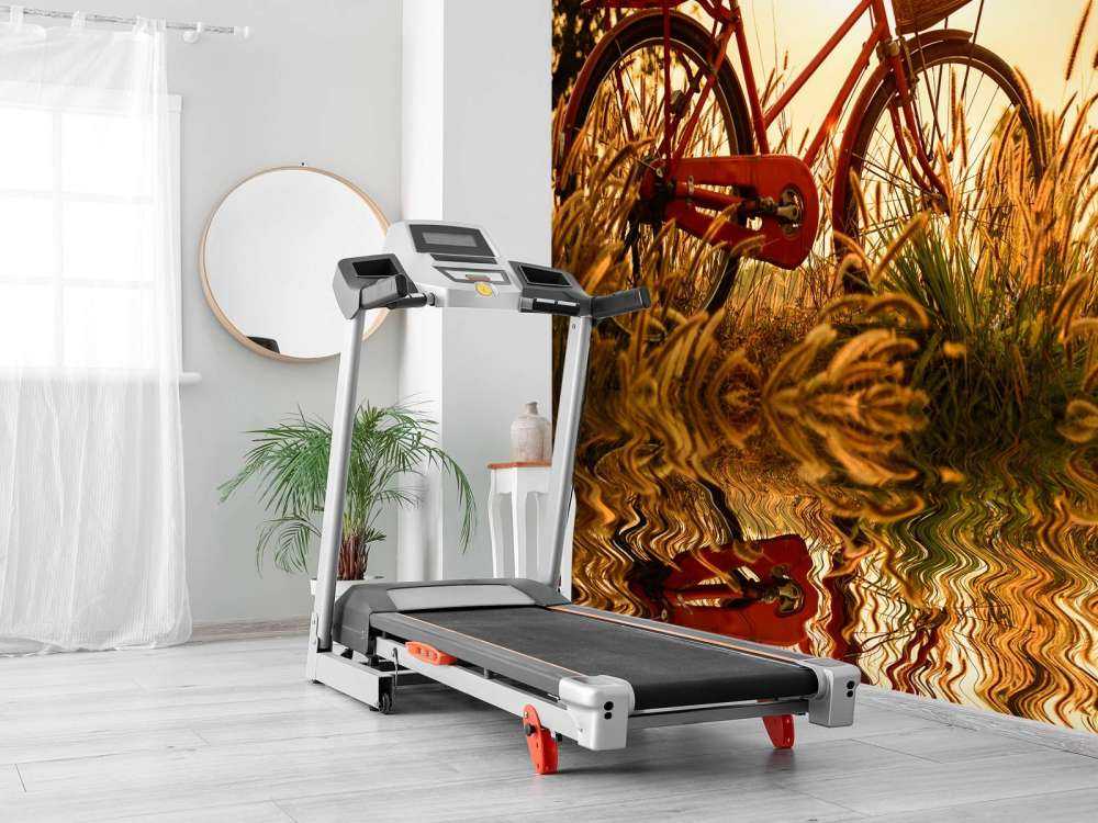 Rower na zachodzie słońca