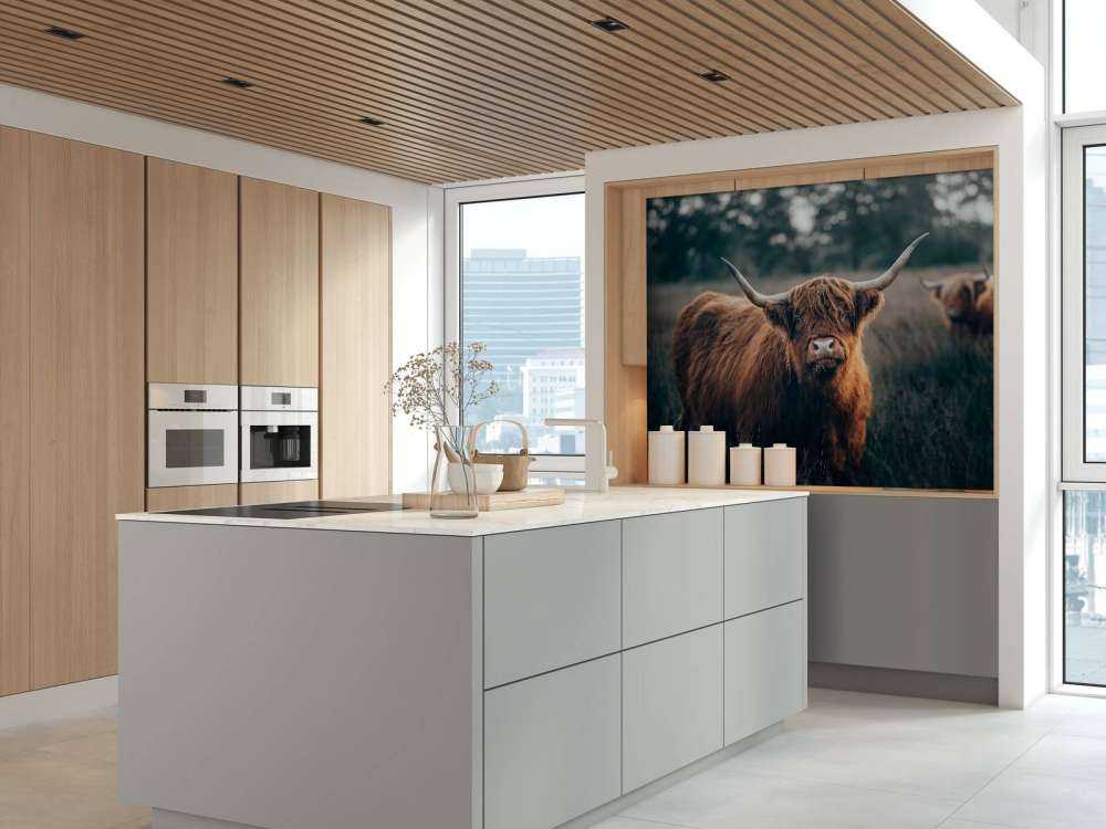 Szkocki góral w zbliżeniu