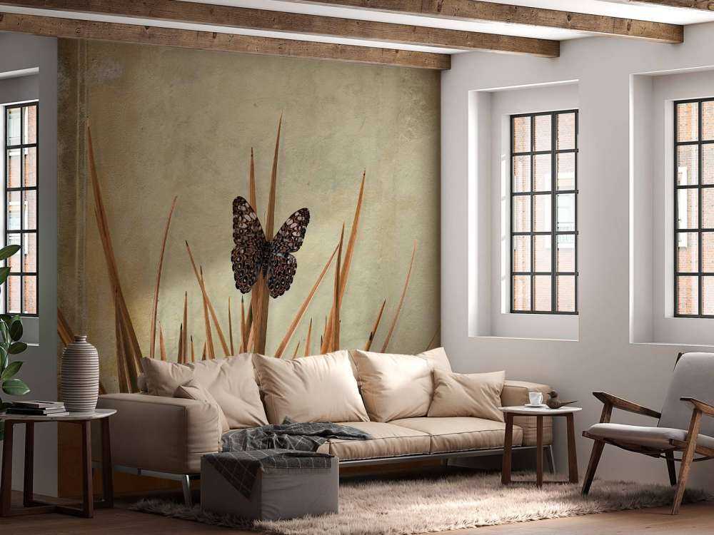 Motyl przy starej ścianie