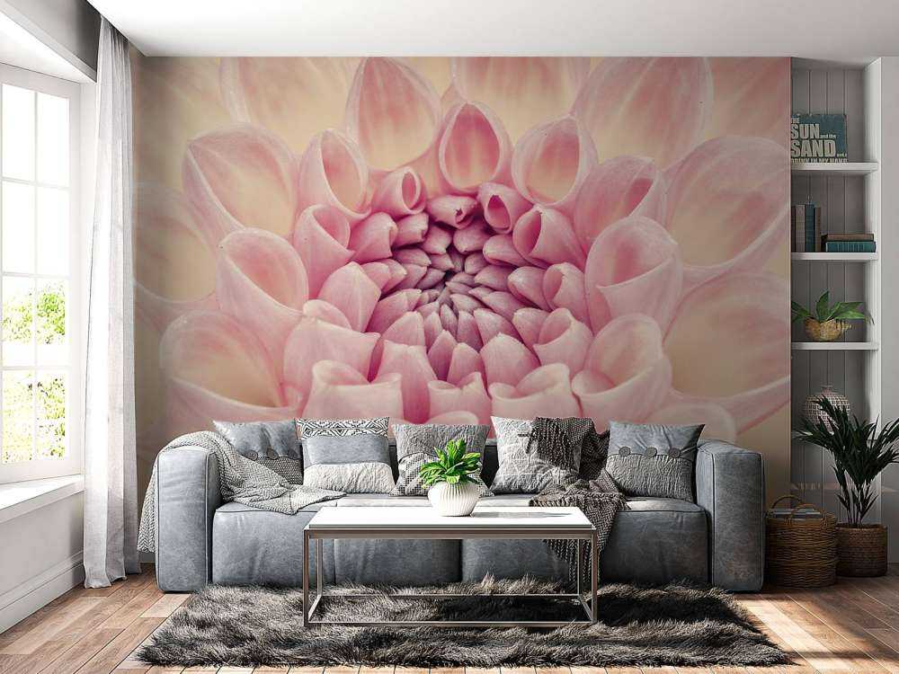 Zdjęcie z bliska dalii