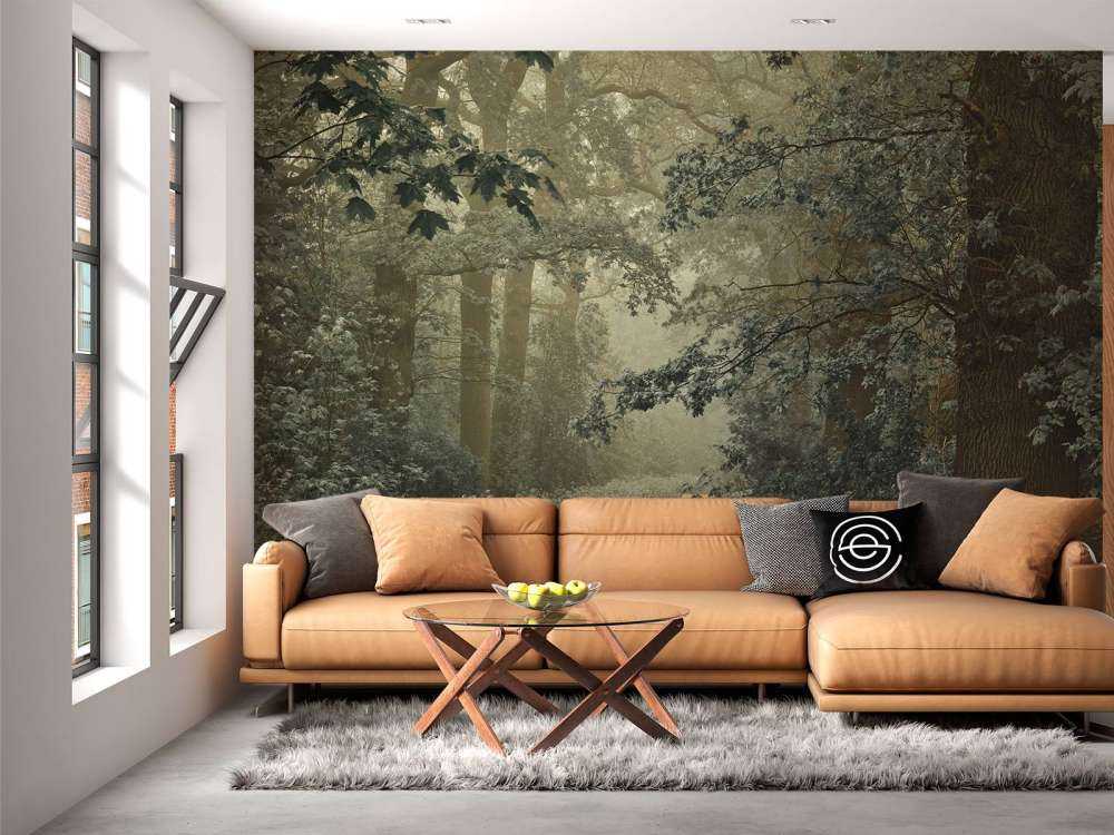 Ścieżka przez las z mgłą